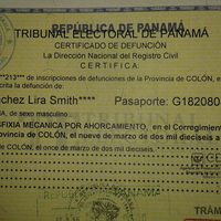 El extraño 'suicidio” del joven que soñaba ser chef en el 'Island Princess”