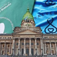 Luz verde a la IVE: uno por uno, cómo fueron los votos de los senadores de Neuquén