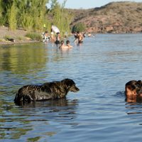 Clima en Neuquén: se mantiene el calor y el viento moderado
