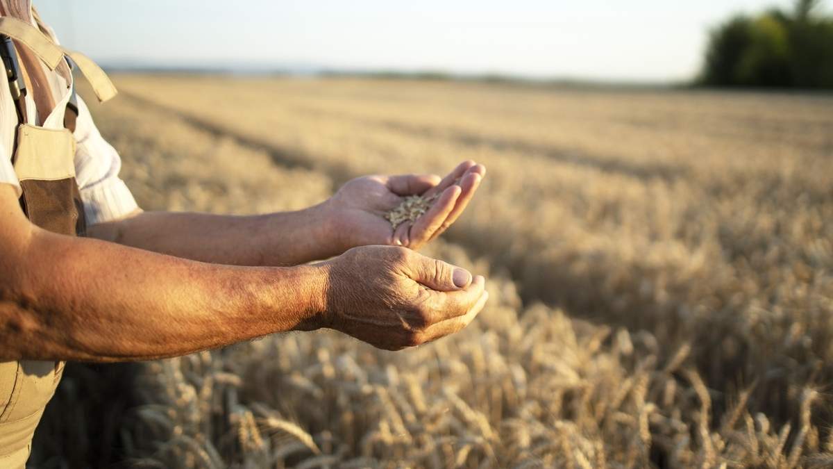 La Federación Agraria cuestionó la política implementada por Nación para acelerar la liquidación de divisas