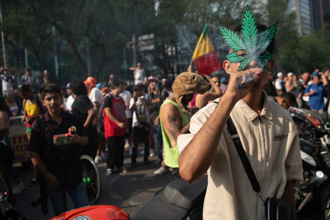 Marcha por el Día Mundial de la Marihuana Foto Miguel Dimayuga.