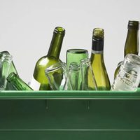 Nunca más tires las botellas de cervezas: mirá esta maravillosa idea para tus plantas