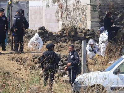 Autoridades localizan fosa con presuntos restos humanos en Xochimilco
