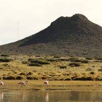 Cerro Michacheo de Zapala: el lugar más visitado por los vecinos durante la cuarentena