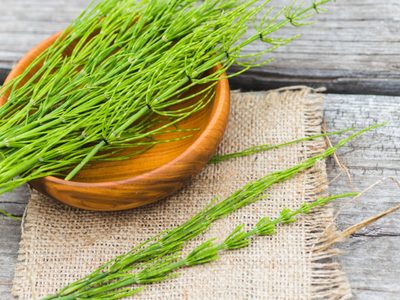 Un tesoro para tu salud: la poderosa planta que la farmacia no quiere que conozcas