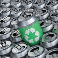 Si tenés varias latas de cerveza o gaseosa, no las tires: hacé esto súper útil para las plantas pequeñas de casa