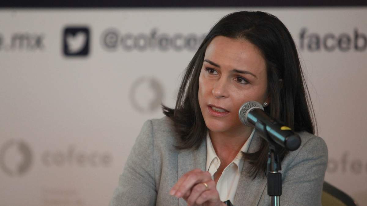 Alejandra Palacios, titular de la Cofece