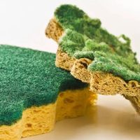 Si pensabas tirar tus viejas esponjas de platos, no lo hagas: mirá estas 4 ideas para reutilizarlas en casa