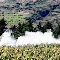 Cierran la autopista Puebla-Orizaba por fuga de gas en toma clandestina