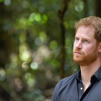 "Estoy muy triste": Harry confirmó la noticia a través de un video desde su habitación