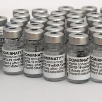 Neuquén recibió más de 21 mil vacunas contra el coronavirus del laboratorio de Pfizer