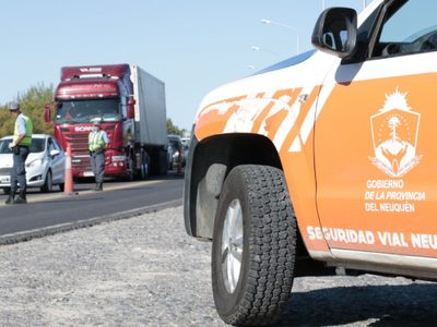 Caza ilegal en Junín de los Andes: secuestran más de 500 kilos de carne de ciervo