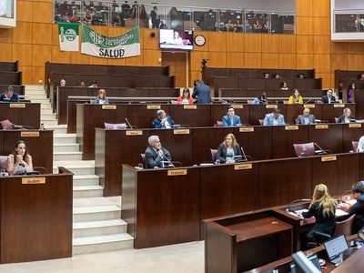 La Defensa Púbica le aplicó un golpe al mecanismo de juicio directo