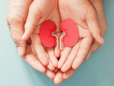 Día Nacional de la Donación de Órganos: un acto solidario que une a las personas