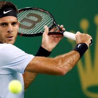La noticia más esperada de Del Potro para los fanáticos del tenis