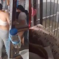 Internas transmiten en vivo desde penal de Tijuana; gobierno separa al director (Video)