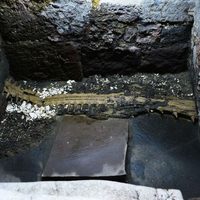 Con 11 mil 800 objetos de los tres planos del universo, culmina excavación de la Ofrenda 174 del Templo Mayor