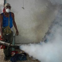 En lo que va de 2020, se han presentado 9,500 casos probables de dengue: IMSS