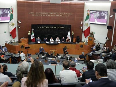 Queda consumado el Plan “B”: el Senado declara su validez