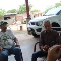 Productores de Sinaloa: sembrar maíz ya no tiene sentido; sequía y falta de apoyo, las trabas