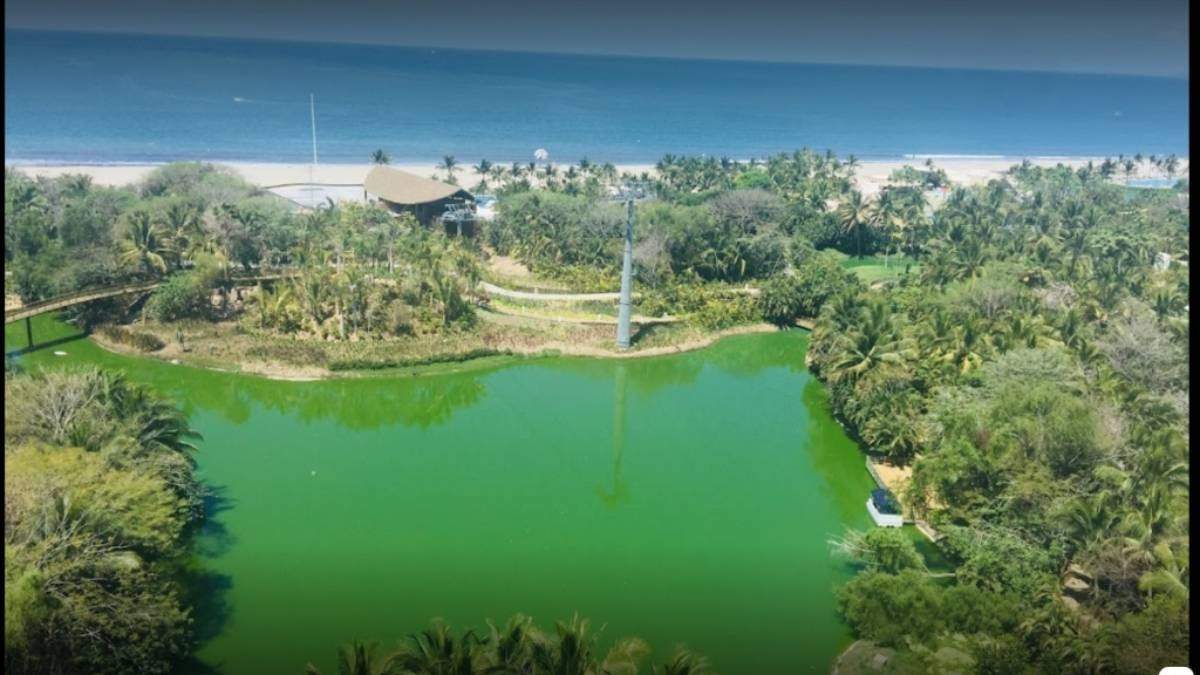 Desarrollo turístico en Bahía de Banderas