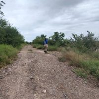 Asesinan a la madre buscadora Rubí Patricia Gómez en Mazatlán