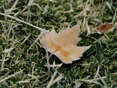 Clima en Neuquén: se intensifica el aire polar durante este sábado