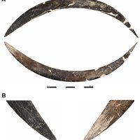 El bumerán de 40.000 años que abre miles de incógnitas