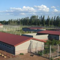 Más de diez casos de coronavirus en una cárcel de Neuquén