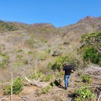 En el fondo de un barranco hallan muerto a alcalde con licencia de Casimiro Castillo