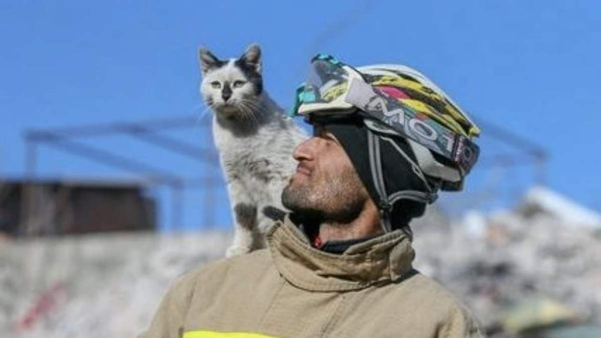Enkas y Ali