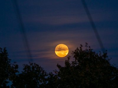 Hasta cuándo se puede ver la última superluna del año