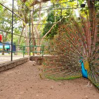 'Ecoparc”, negocio redondo a cuenta del erario de Colima