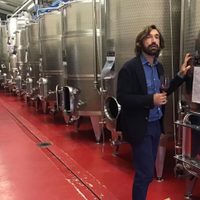 Los vinos del entrenador de Juventus honran la tradición familiar