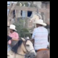 Torturan y decapitan a un gato por fiesta patronal en Guerrero