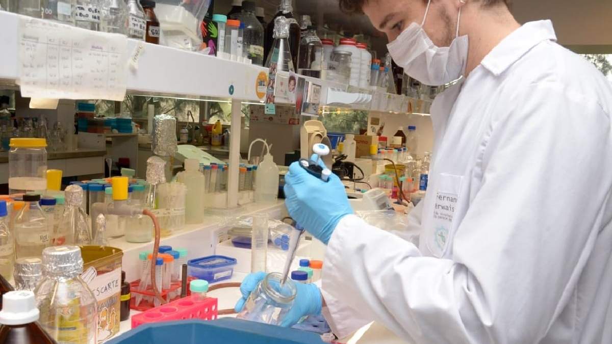 Coronavirus UNSAM. Fuente: (Twitter)