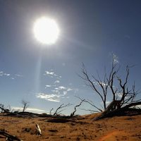 La ONU advierte que existe una amenaza para la vida peor que el coronavirus