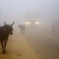 La contaminación asfixia a Nueva Delhi; suspenden clases hasta el domingo