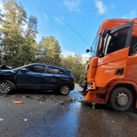 Villa La Angostura: chocaron un camión y un auto en Siete Lagos
