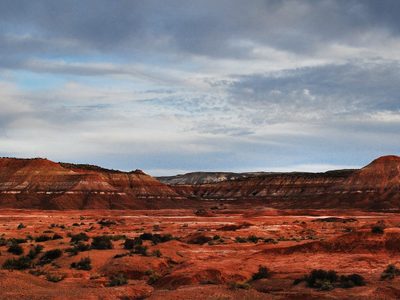 El Gobierno de Río Negro avanza con el plan para conservar el Valle Cretácico