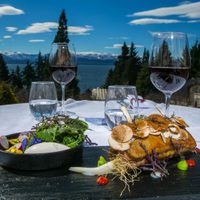 Promocionan oferta gastronómica de Bariloche en una web