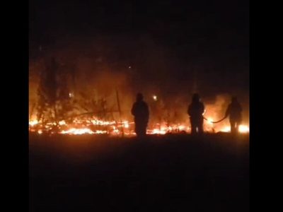 Bomberos pudieron controlar un nuevo incendio forestal sobre la Ruta 40