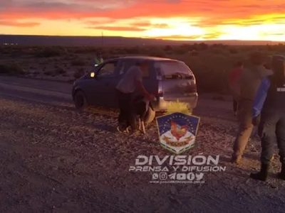Tres hombres llevaban en un auto un choique faenado y cinco perros galgo