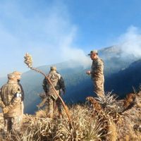 Bolivia declara la emergencia ante los incendios forestales