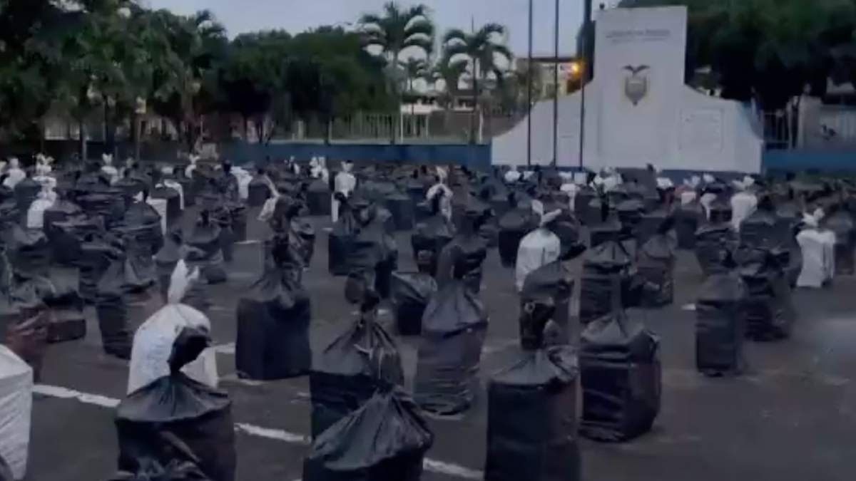 Droga decomisada. Golpe al crimen organizado
