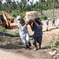 Sedena y GN reparten 133 toneladas de víveres en Oaxaca, Guerrero, Colima y Michoacán por John