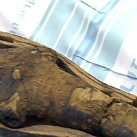 Una momia que creían que era de un niño resultó no ser humana