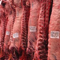 La Aduana suspendió las exportaciones del frigorífico Malefu Agropecuaria por un periodo de 45 días