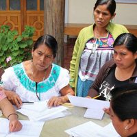 Red de Observadoras Electorales en Chiapas denuncia coacción del voto a través de programas sociales