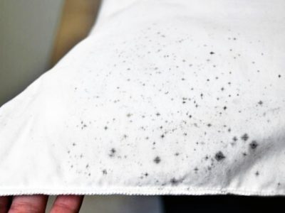 Si tu ropa se llenó de hongos de humedad, eliminalos con este secreto y que vuelva a estar como nueva